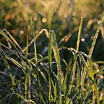 2K9B9401_am_Main_bei_Obertheres