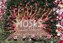 BLUMENTEPPICHE: Fronleichnam, kl. Fronleichnam, Herz Jesu