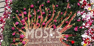 BLUMENTEPPICHE: Fronleichnam, kl. Fronleichnam, Herz Jesu