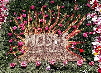 BLUMENTEPPICHE: Fronleichnam, kl. Fronleichnam, Herz Jesu