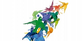 Ergebnis der Pfarrgemeinderatswahl 2018