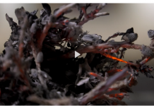 Die Fastenzeit erklärt – Pfr. Eschenbacher bei tvm