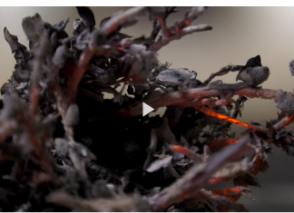 Die Fastenzeit erklärt – Pfr. Eschenbacher bei tvm