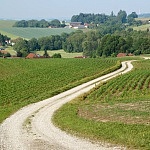 Ein Überblick über den Kurs