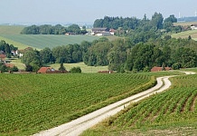 Ein Überblick über den Kurs