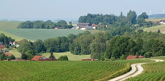 Ein Überblick über den Kurs