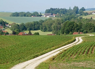 Ein Überblick über den Kurs