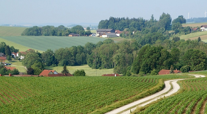Ein Überblick über den Kurs