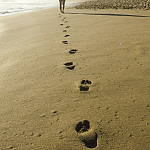 Einführung: Auf den Spuren Jesu