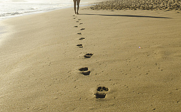 Allgemeine Einführung