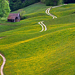 Treffen 3: “Jesus zeigt den Weg des Lebens”