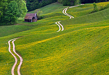 Treffen 3: “Jesus zeigt den Weg des Lebens”