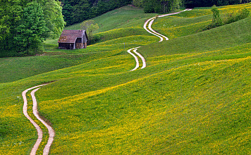 Treffen 3: “Jesus zeigt den Weg des Lebens”