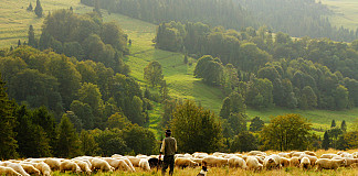 16. Sonntag im Jahreskreis (Lesejahr B)