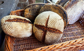 18. Sonntag im Jahreskreis (Lesejahr B)