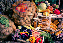 Familiengottesdienst zu Erntedank am 2. Oktober in Haßfurt und Prappach