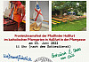 Fest an Fronleichnam im Pfarrgarten