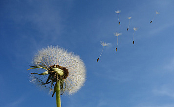 Gibt es ein Leben nach dem Tod? – Gedanken zum Sonntagsevangelium