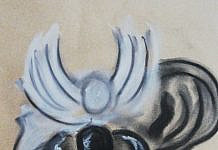 17. Sonntag im Jahreskreis (A)